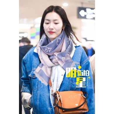Louis Vuitton Scarf LVS00059 Scarf JK3263wn15