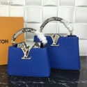Louis Vuitton CAPUCINES MINI M99676 blue JK468UF26