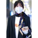 Louis Vuitton Scarf LVS00076 JK3246fJ40