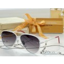 Louis Vuitton Sunglasses Top Quality LVS00112 JK5267RX32