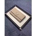 Luxury Louis Vuitton Calfskin Leather CAPUCINES WALLET M61249 Grey JK550Lv15