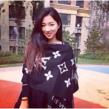 Louis Vuitton Cashmere Scarf LV121B Scarf JK3796hT91