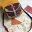 Fake Louis Vuitton Pochette Metis Summer Trunk M43628 JK1963xE84