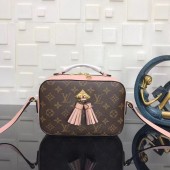 Louis Vuitton Monogram Canvas original Leather SAINTINGE N40154 pink JK1380DI37